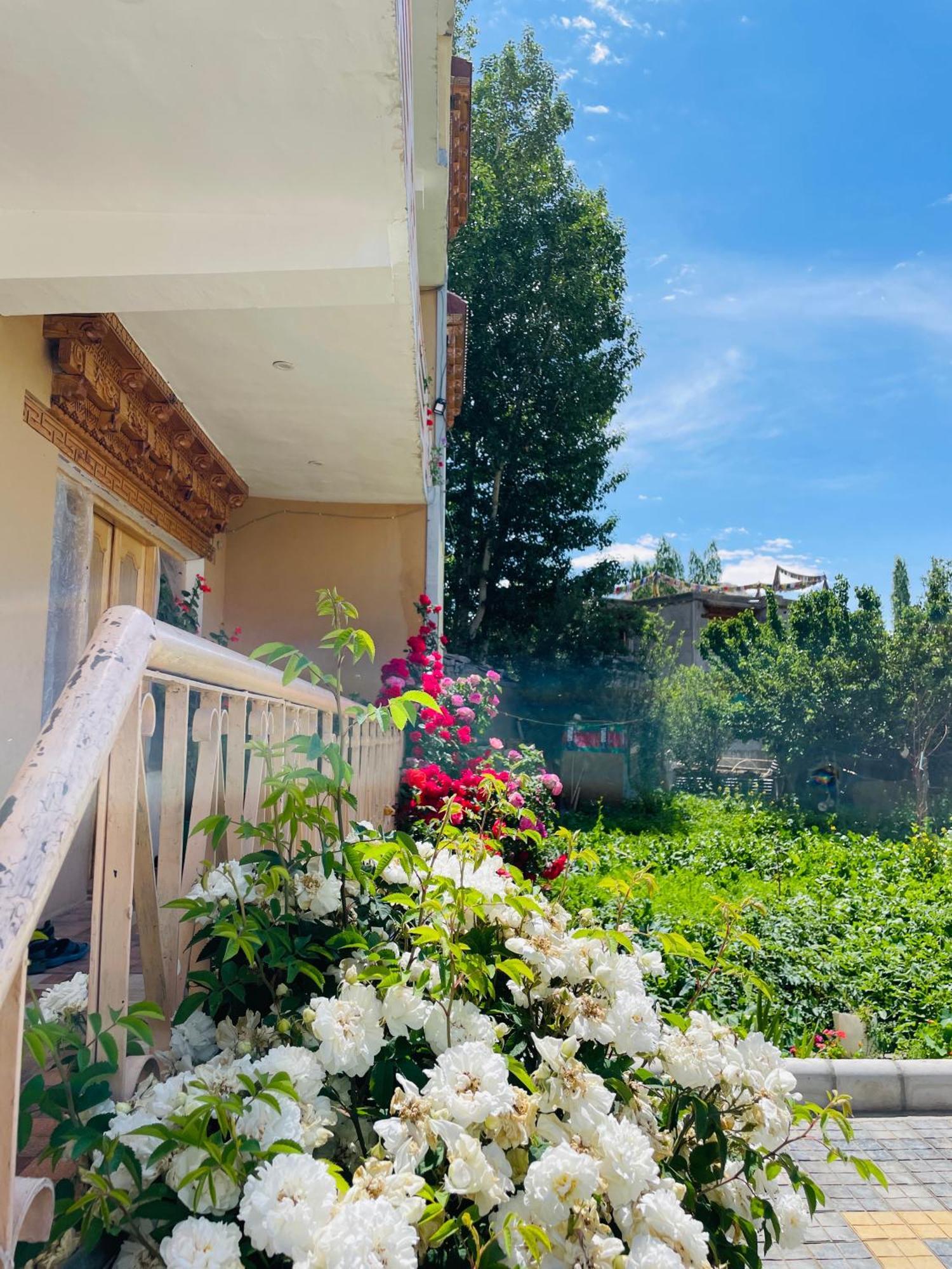 Zlatan Guest House Leh Esterno foto